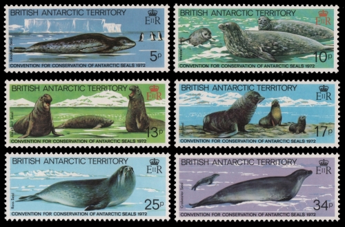 BAT / Brit. Antarktis 1983 - Mi-Nr. 98-103 ** - MNH - Robben / Seals