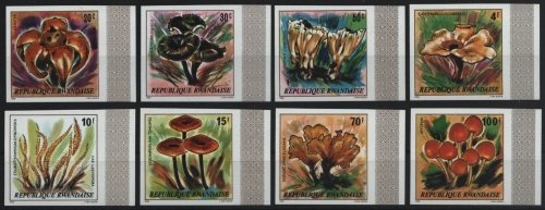 Ruanda 1980 - Mi-Nr. 1051-1058 B ** - MNH - ungez. / imp - Pilze / Mushrooms