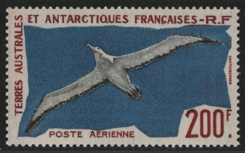 TAAF 1959 - Mi-Nr. 18 ** - MNH - Vögel / Birds