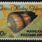 Kokos-Inseln 1990 - Mi-Nr. 240 I ** - MNH - Meeresschnecken / Marine snails