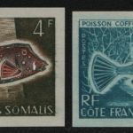 Französische Somaliküste 1959 - Mi-Nr. 323 ** - MNH - Fische - Farbproben (I)