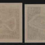 Französische Somaliküste 1959 - Mi-Nr. 323 ** - MNH - Fische - Farbproben (I)