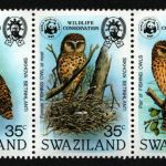 Swaziland 1982 - Mi-Nr. 398-402 ** - MNH - Eulen / Owls - gefaltet / folded (1)