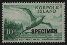Norfolk-Insel 1960 - Mi-Nr. 36 ** - MNH - Vögel / Birds - Specimen (I)