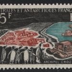 TAAF 1963 - Mi-Nr. 28 ** - MNH - Crozet-Archipel (I)