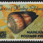 Kokos-Inseln 1990 - Mi-Nr. 240 II ** - MNH - Meeresschnecken / Marine snails