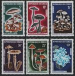 Kongo-Brazzaville 1970 - Mi-Nr. 232-237 ** - MNH - Pilze / Mushrooms