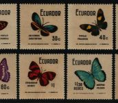 Ecuador 1970 - Mi-Nr. 1478-1487 ** - MNH - Schmetterlinge / Butterflies