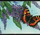 Alderney 1997 - Mi-Nr. 100 Dl & Dr ** - MNH - Heft 3 - Schmetterlinge