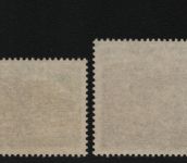 TAAF 1969 - Mi-Nr. 46-48 ** - MNH - Fauna & Flora (I)