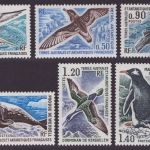 TAAF 1976 - Mi-Nr. 103-108 ** - MNH - Wildtiere / Wild animals (IV)