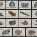 BAT / Brit. Antarktis 1990 - Mi-Nr. 156-170 ** - MNH - Fossilien / Fossils (III)
