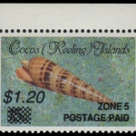 Kokos-Inseln 1991 - Mi-Nr. 244 ** - MNH - Meeresschnecken / Marine snails (I)