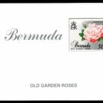 Bermuda 1989 - Mi-Nr. 555-564 ** - MNH - Markenheft - Rosen / Roses