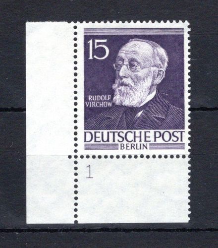 Berlin MiNr. 96 Eckrand FN 1 postfrisch