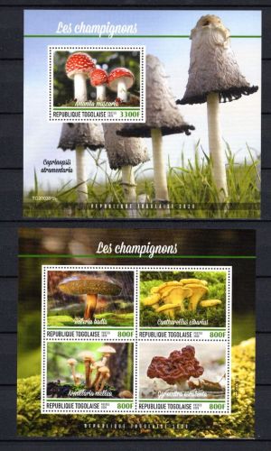 Togo MiNr. 11104-11107 Kleinbogen und Block 2019 postfrisch Pilze