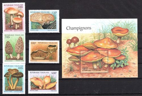 Togo MiNr. 3050-3955 Satz und Block 454 postfrisch Pilze