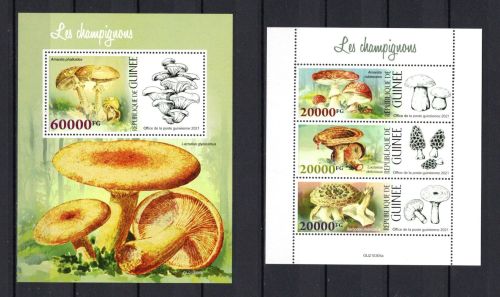 Guinea MiNr. 15646-15648 Kleinbogen und Block 3483 postfrisch Pilze