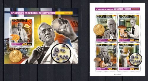 Mosambik MiNr. 10955-10958 Kleinbogen und Block 1626 postfrisch Pilze