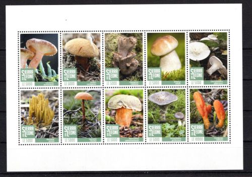 Sierra Leone MiNr. 12508-12517 Kleinbogen postfrisch Pilze
