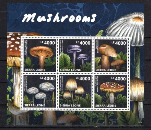 Sierra Leone MiNr. 5834-5839 Kleinbogen postfrisch Pilze