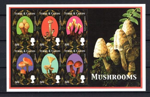 Turks und Caicos MiNr. 1507-1512 KB und Block 192-193 postfrisch Pilze