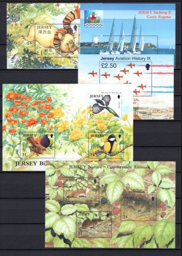 Jersey Lot Blöcke aus 2007 postfrisch