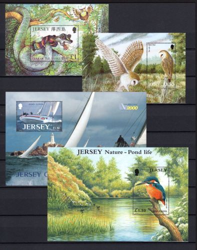 Jersey Lot Blöcke aus 2001 postfrisch