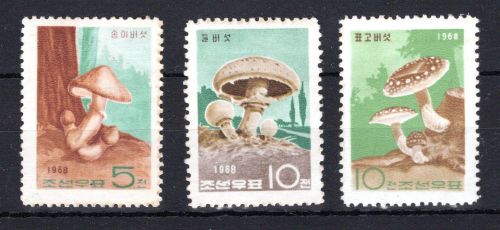 Korea Nord MiNr. 856-858 postfrisch Pilze