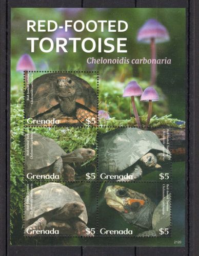 Grenada KB MiNr. 8060-8064 postfrisch Schildkröten