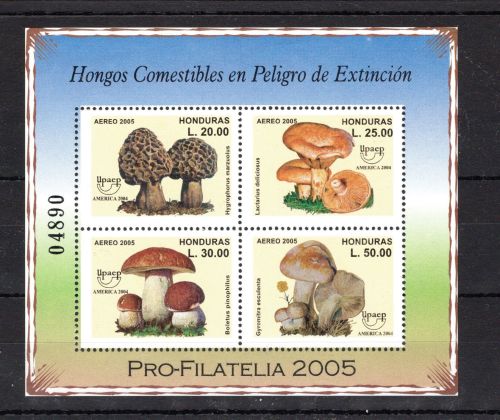Honduras MiNr. Block 86 postfrisch Pilze