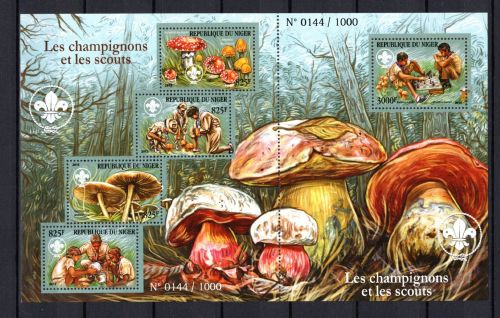 Niger Kleinbogen MiNr. 3622-3626 postfrisch Pilze + Pfadfinder