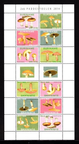 Surinam MiNr. 2687-2692 postfrisch Pilze