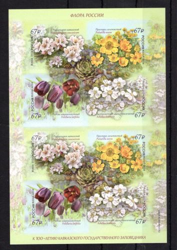 Russland Folienblatt MiNr. 3443-3444 postfrisch Einheimische Flora
