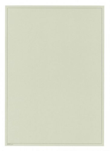 Lindner Blankoblätter im DIN A4 Format 805i (10er Packung) Neu