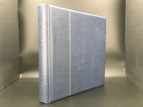 Kobra Ringbinder P in Blau mit 20 Einsteckblättern neuwertig