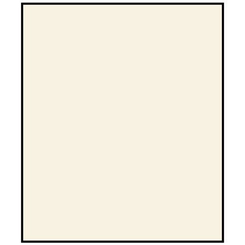 Safe Karton-Blankoblätter Hellbeige für Compact A4-Album Nr. 482 (10er Pack) Neu
