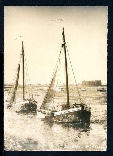 AK Neuss um 1960 Rhein mit Aalschocker