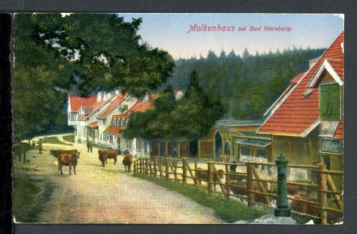 AK Bad Harzburg 1939 Molkenhaus