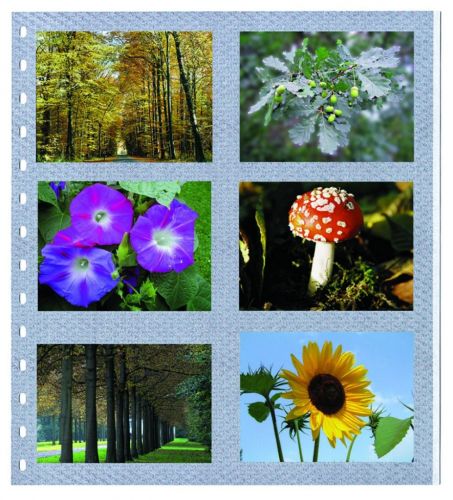 Safe Spezialblätter für Fotos Nr. 676 (5er Pack) Neu