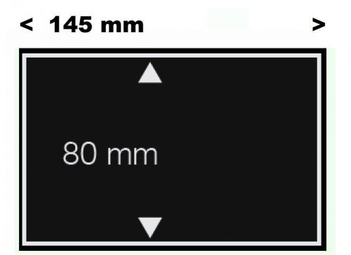 Safe Einsteckkarten aus Folie mit 1 Streifen (50er Pack) Nr. 7021 Neu