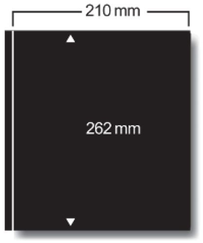 Safe Einsteckblätter Clipfix Schwarz Nr. 421 (5er Pack) Neu