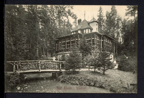 AK Bad Elster, Vogtlandkreis um 1915 Waldcafe