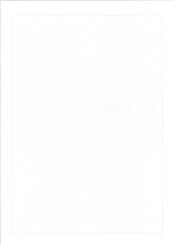 Leuchtturm Blankoblätter zartgraues Netz, grauer Rand DIN A4 329861 (40er Pack) Neu