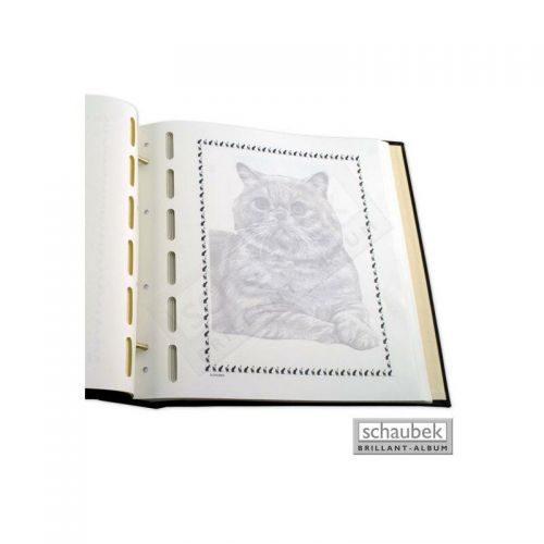 Schaubek Blankoblätter "Katzen", 20 Blatt BBKatzen Neu