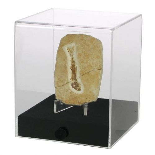 Safe Präsentations-Cubes aus Acryl 100 x 100 x 120 mm Nr. 5287 Neu
