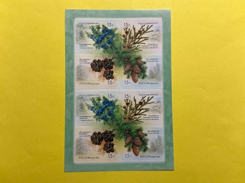 Russland Folienblatt MiNr. 1914-1917 Flora Nadelbäume 2013 postfrisch