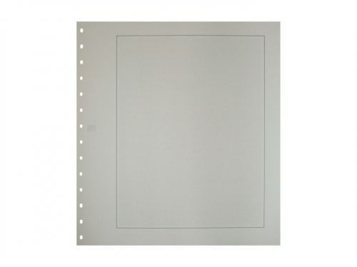 Safe Karton-Blankoblätter mit Rand und Netzdruck 791, 10er Pack neuwertig