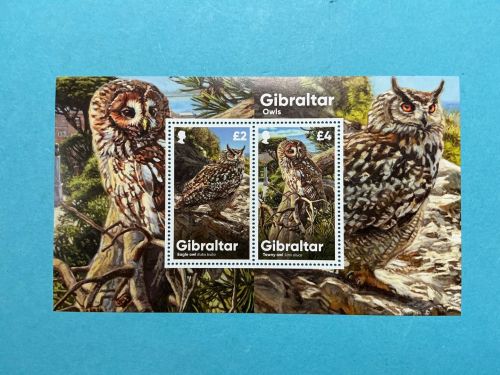 Gibraltar 2020 MiNr. Block 143 Eulen Owl postfrisch Vögel