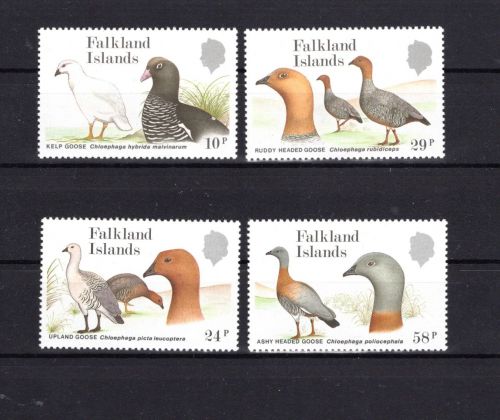 Falkland Inseln MiNr. 480-483 Vögel Gänse, Satz postfrisch Tiere